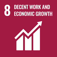 Economic Growth (SDG 8)